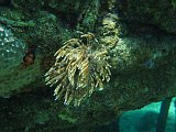 Curacao 04-12 062